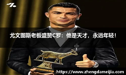 南宫NG28